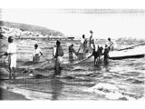 Tyre has become `a place for the spreading of nets in the midst of the sea`. Local fishermen are here seen early in the morning hauling in a seine or drag-net. The net has weights below and floats at the top.